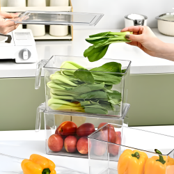 Plastic Organizer